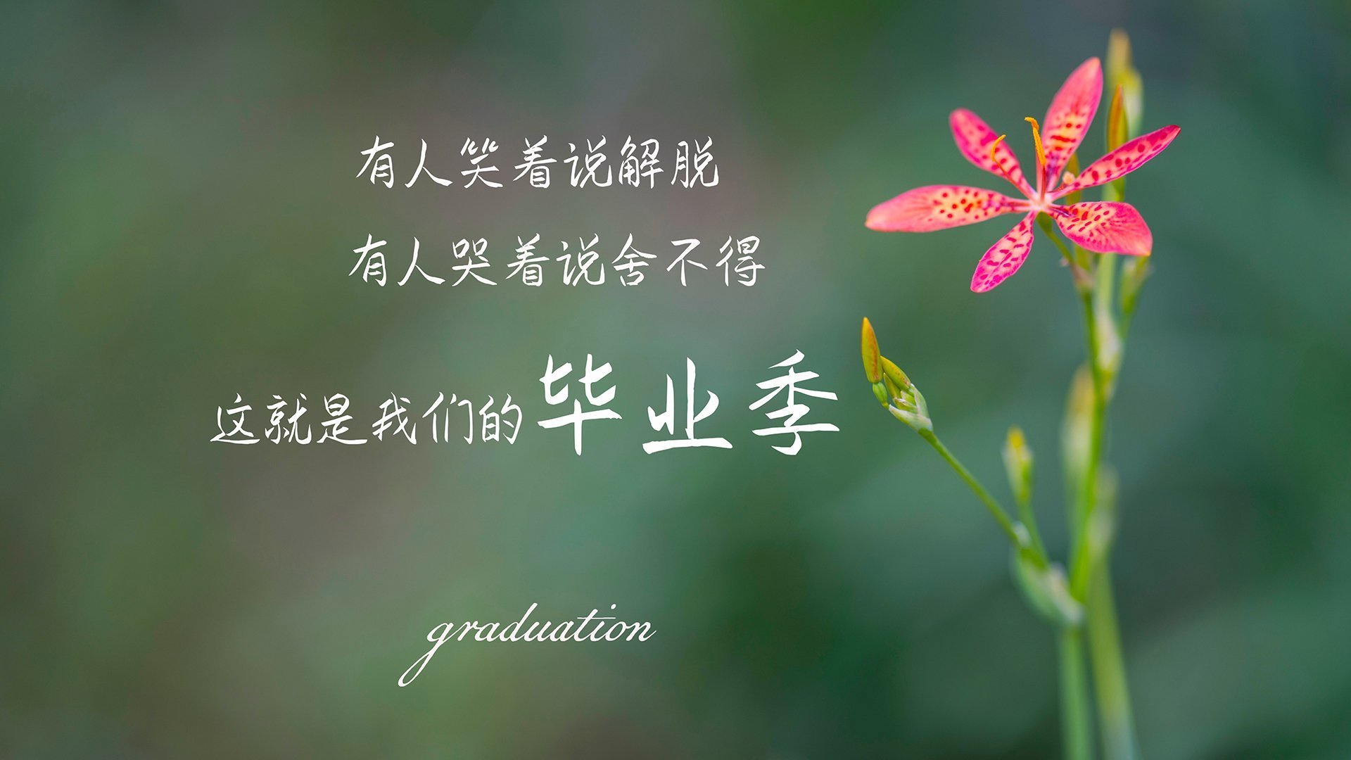 十国选手齐聚兴隆湖，划出国际风采，兴隆湖近况